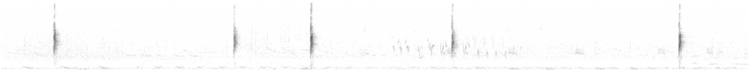 lesňáček žlutoskvrnný (ssp. auduboni) - ML374349451