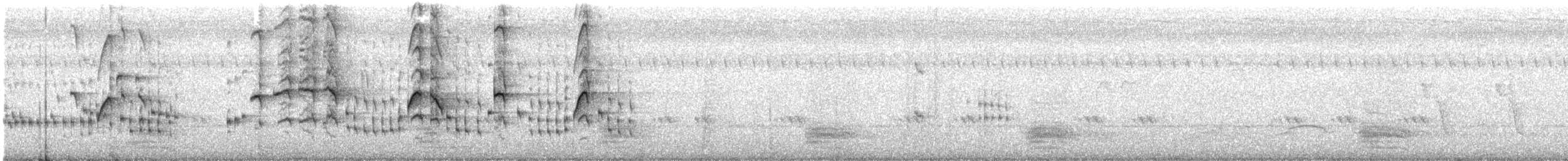 Cratérope affin - ML374374251