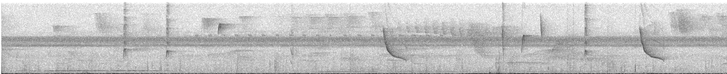 Gray-mantled Wren - ML37440411