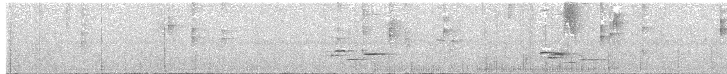 Дрізд-короткодзьоб сірий - ML374503851
