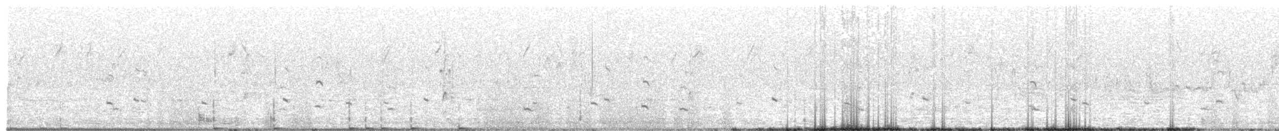 Бор шувууны багын тодорхойгүй зүйл - ML374588341