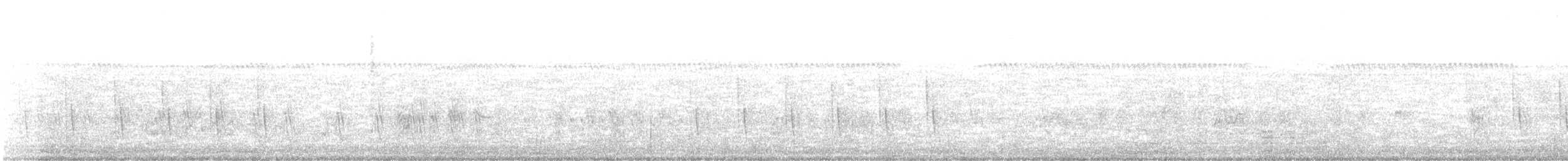 pěnicovec krátkoocasý - ML374590861