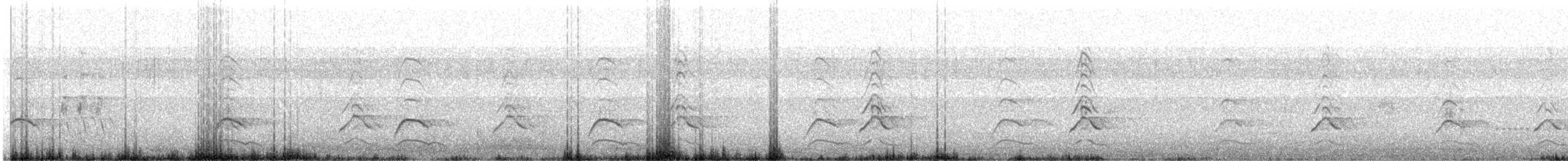 Хотны бүгээхэй - ML374676621