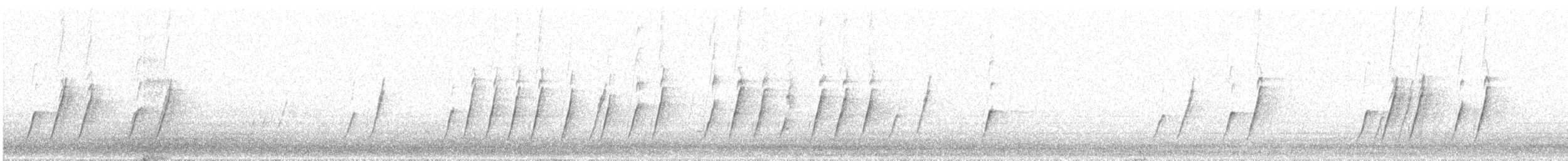 Curve-billed Thrasher - ML374773711