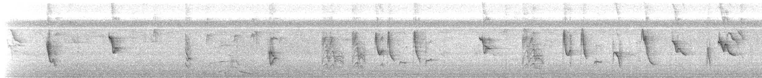 Рисоїд нікарагуанський - ML374835671