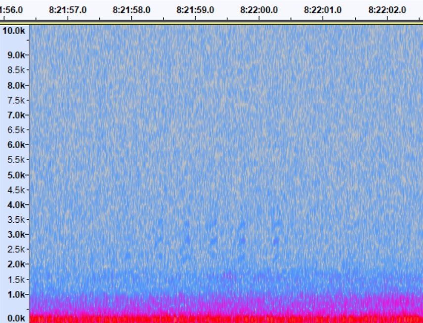 Red-breasted Nuthatch - Iain Rayner NFC Station