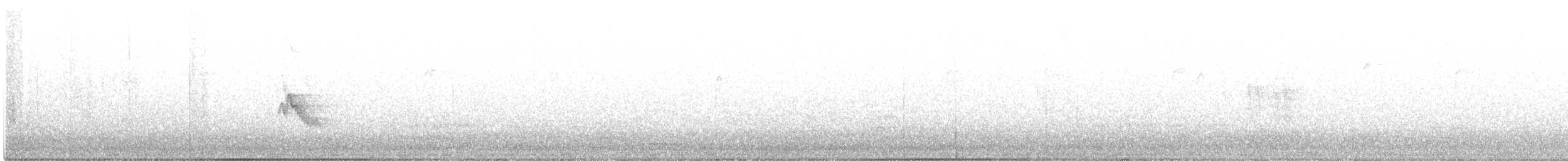 Віреон зеленоспинний - ML374945681