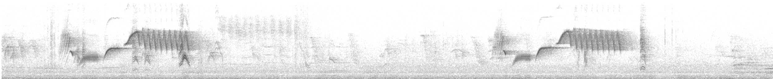 Длиннохвостый крапивник [группа mexicanus] - ML374986001