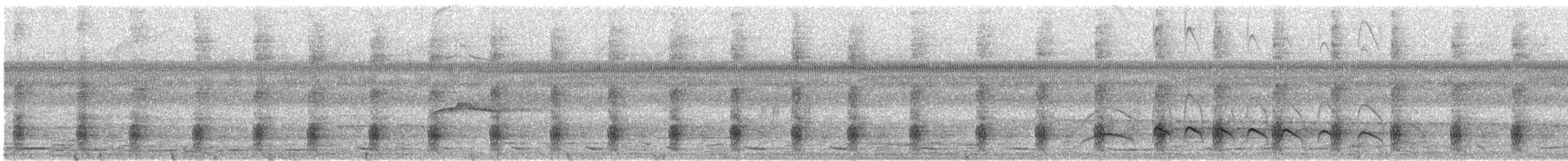 Schriftarassari - ML375042381