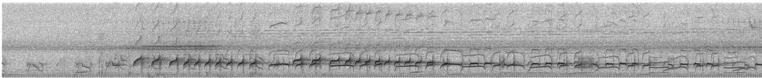 brunbeltedovenfugl - ML375052161