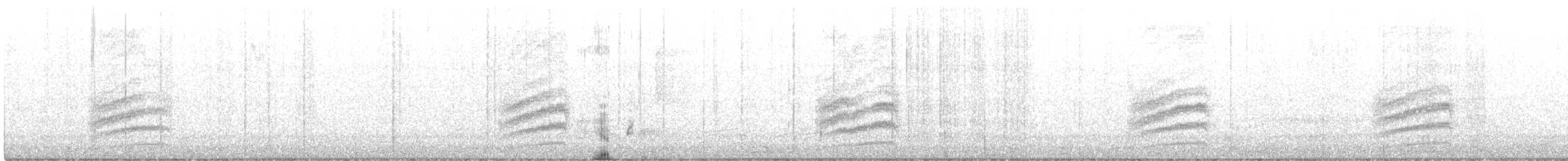 Spotted Towhee - ML375152161