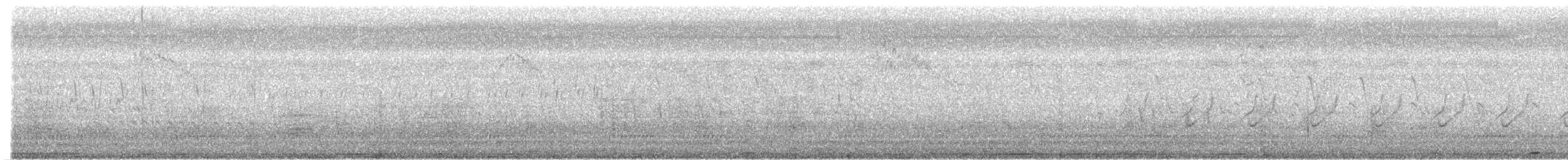 kukačka orientální - ML375161171