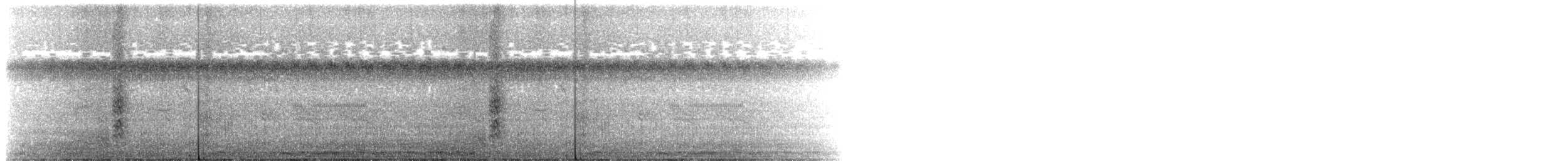 חרטומית סיבירית - ML375193341
