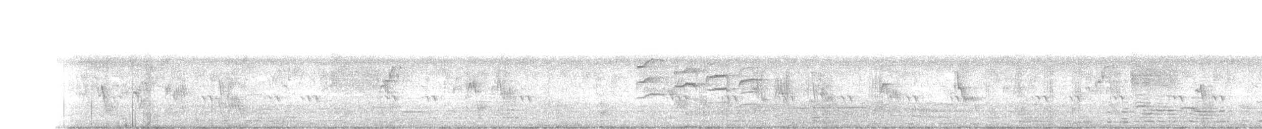 Синехвостая щурка - ML375374711