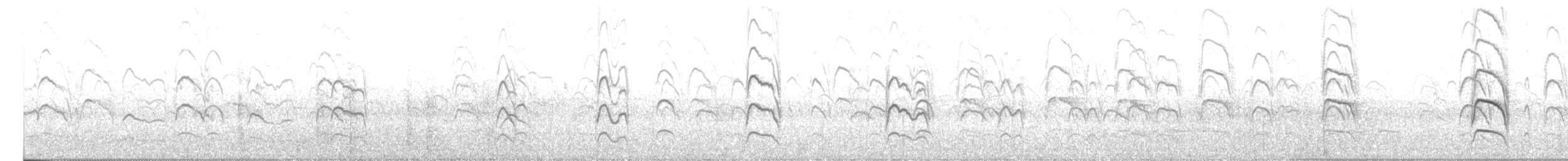 Black-fronted Tern - ML375405761