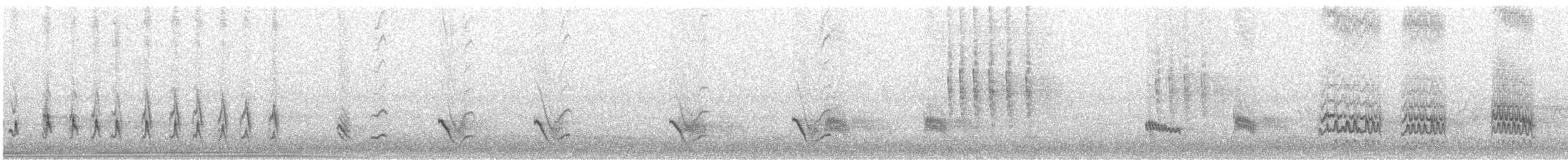 Northern Mockingbird - ML375428121