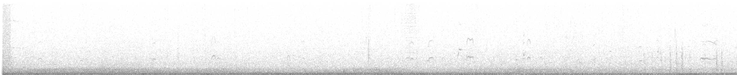 Bécasseau sanderling - ML375431401