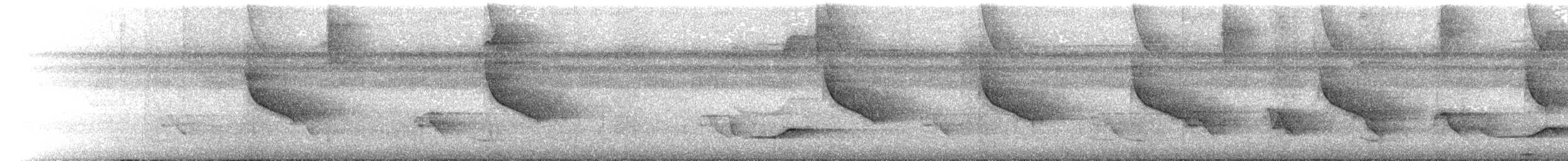 Белогорлая сорокопутовая танагра - ML375503001