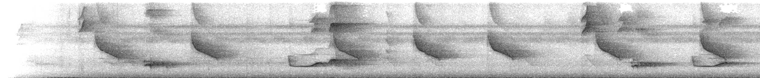 Белогорлая сорокопутовая танагра - ML375503011