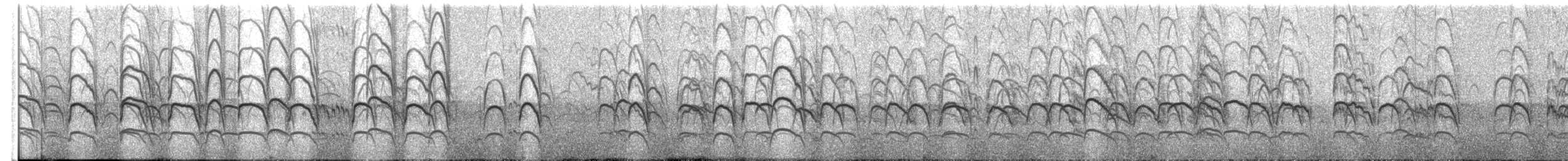 Black-fronted Tern - ML375508541