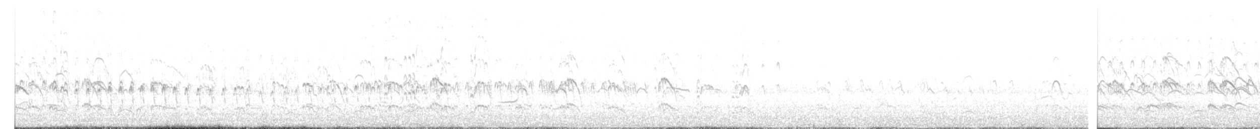 Black-fronted Tern - ML375509891