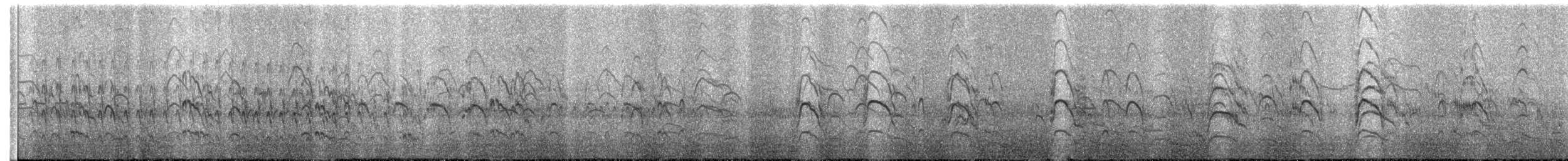 Black-fronted Tern - ML375510231