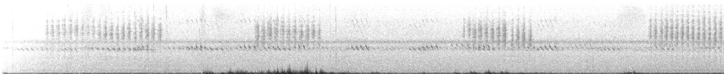 Northern House Wren - ML375559881