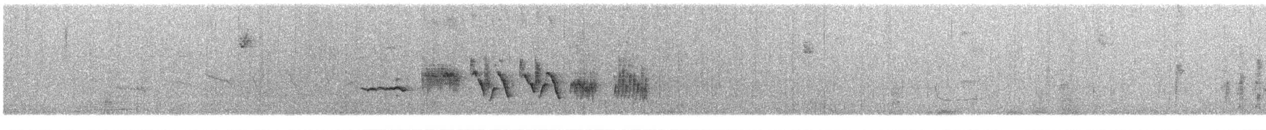 White-crowned Sparrow (Yellow-billed) - ML375577241