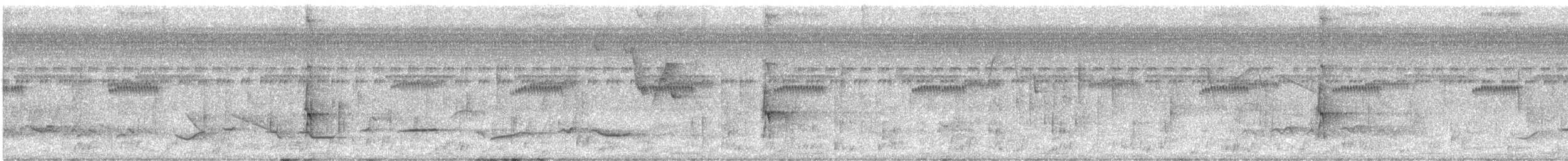 White-spotted Woodpecker - ML375587011