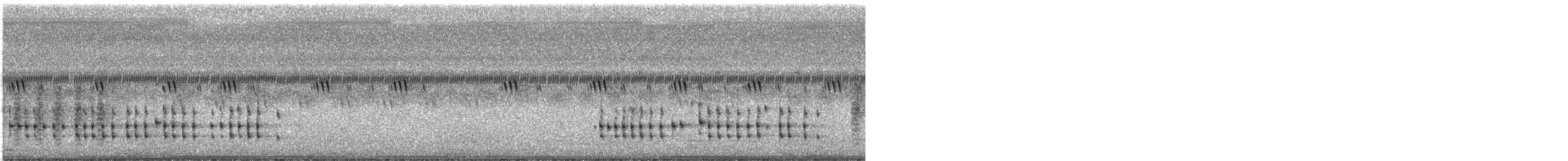 Cratérope affin - ML375662331