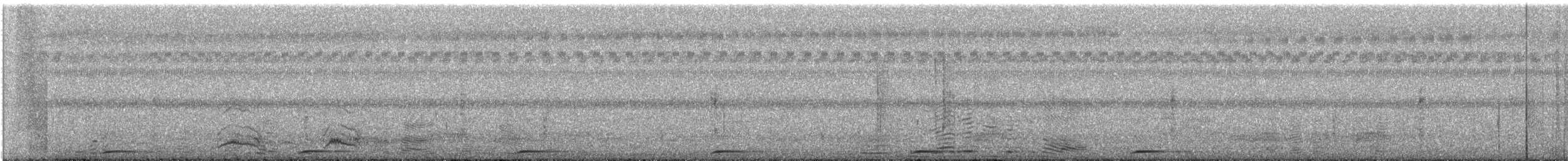 Greater Painted-Snipe - ML375692721