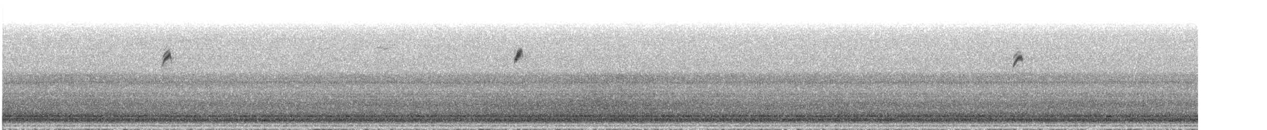 Yellow-rumped Warbler - ML375708311