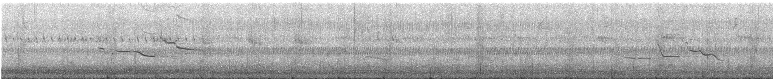 englerketrupial (magna gr.) - ML375792641