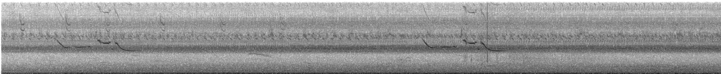 englerketrupial (magna gr.) - ML375792671