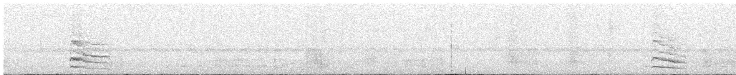 Дятел-смоктун білочеревий - ML375862611