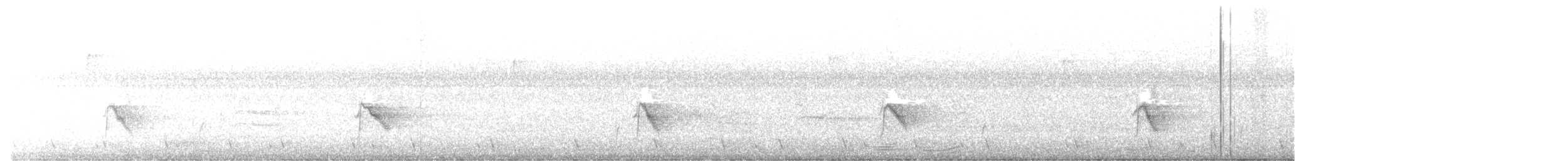 Дрізд-короткодзьоб малий - ML375870021