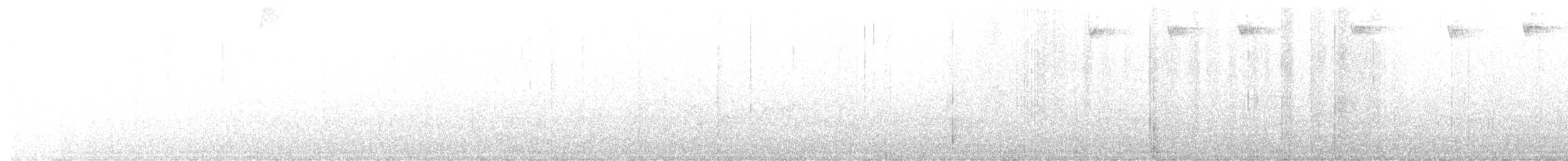 Speckled Hummingbird - ML375884821