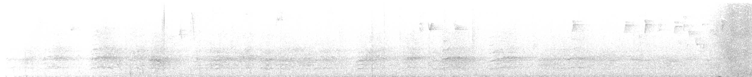 amazónek skvrnolící (ssp. seniloides) - ML375885151