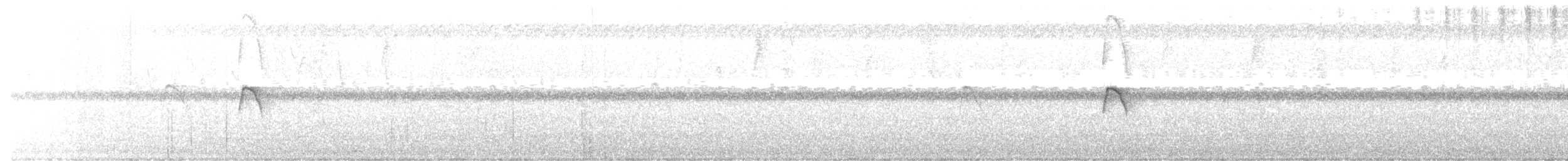 Coopmans's Elaenia - ML375891431
