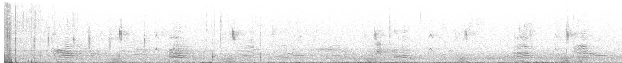 husice australská - ML375914241