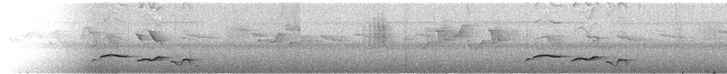 Тимелія-клинодзьоб чорновола - ML375917891