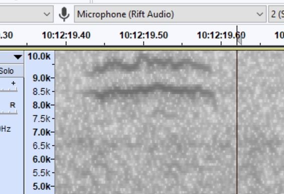 new world sparrow sp. - ML376043201