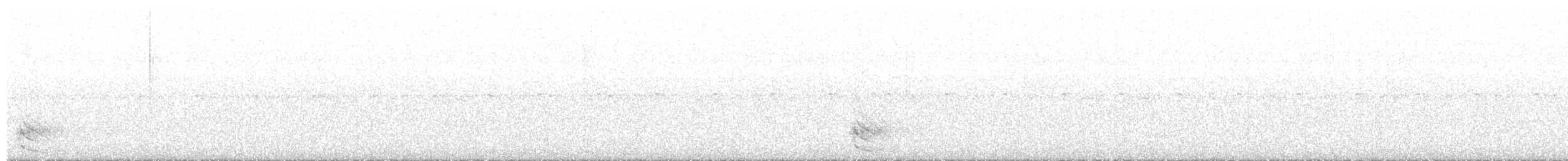 Australian Owlet-nightjar - ML376122301