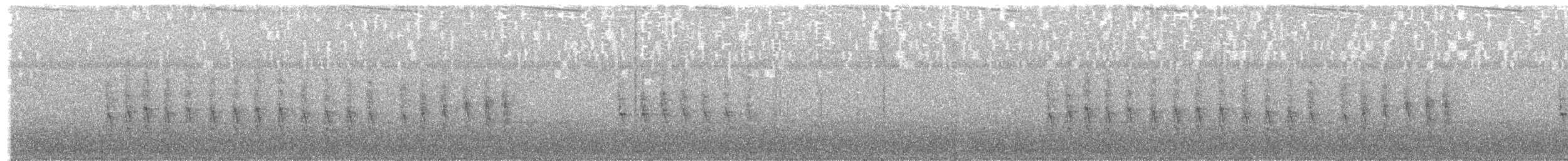 tykknebbedderkoppjeger - ML376164381