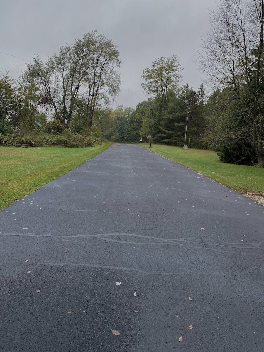 Wild Turkey - ML376232451