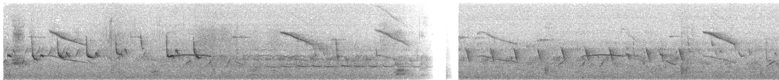 Jameson's Antpecker - ML376254911