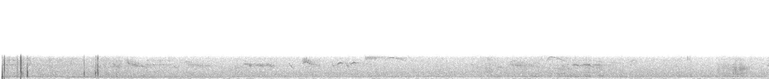 Серпокрилець-крихітка неотропічний - ML376810611