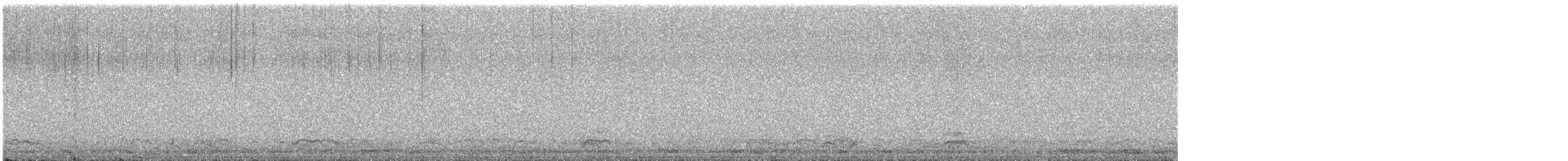 Oie rieuse - ML376908441