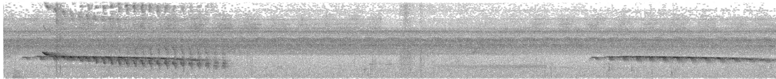 Grauband-Ameisenvogel - ML376928411