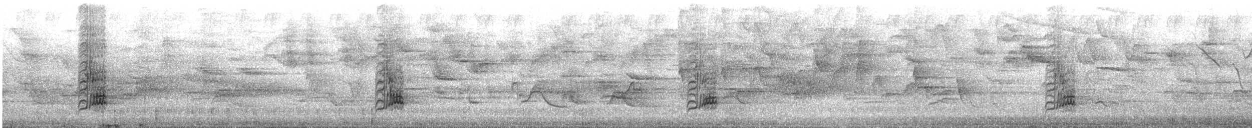 Glossy-black Thrush - ML376949731